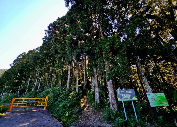 油羅山-2025森遊竹縣皮皮獅探險隊2910088