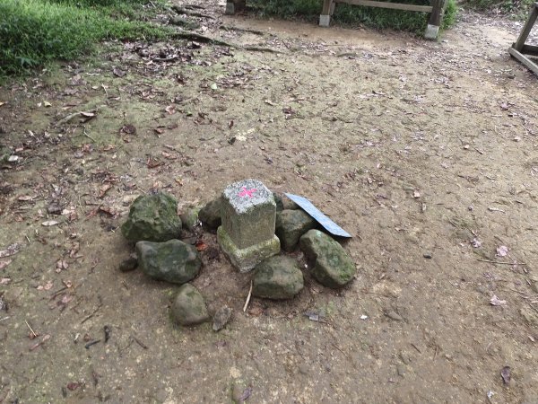 [百山百鳥尋旅-10/15] 2025_0920 溪洲山步道(福山巖登山步道)2893138