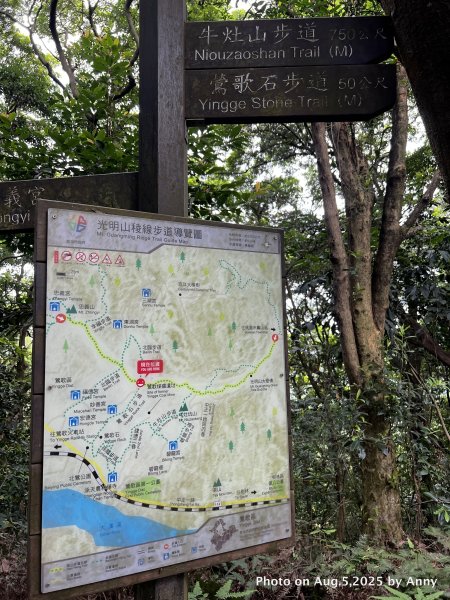 連走微笑山線第一段＋第二段（大棟山系）2853025