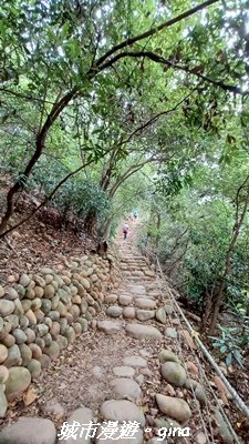 【苗栗三義】台灣百大必訪步道。 火炎山、南鞍古道O繞x火炎山下花海2954159