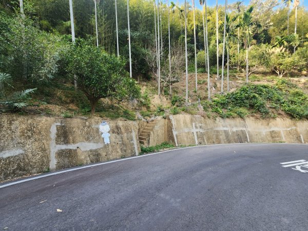 2026022面桶寮山小分林山大分林山3013041