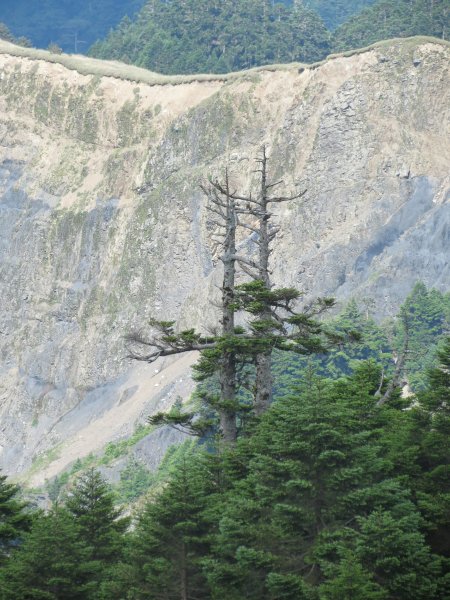 《南投》愛上山｜合歡山東峰2016061412179