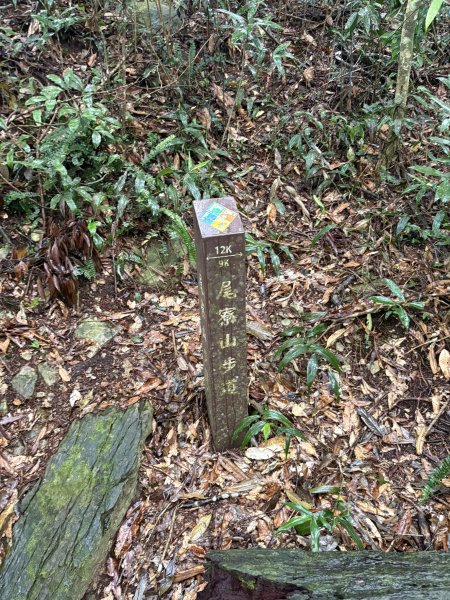 20251227尾寮山登山步道2970533