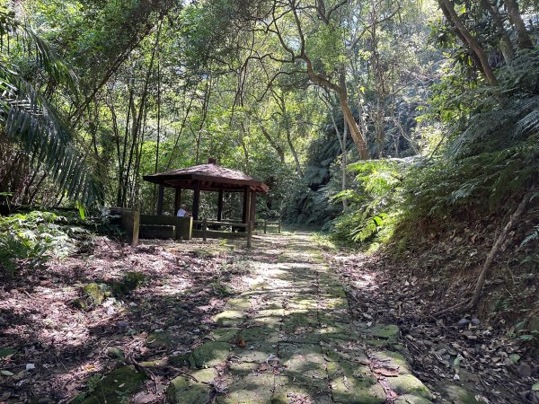 獅山古道走一遭獅頭到獅尾2564165