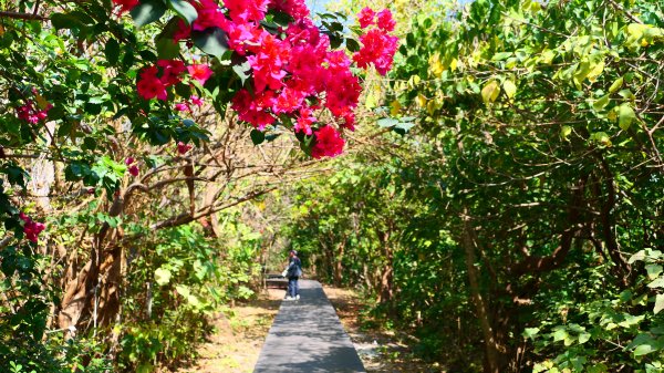 台南知事官邸等3002010