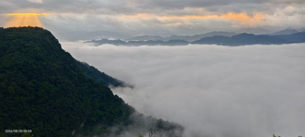 #翡翠水庫壩頂 #日出 #雲海 #斜射光 8/303113255