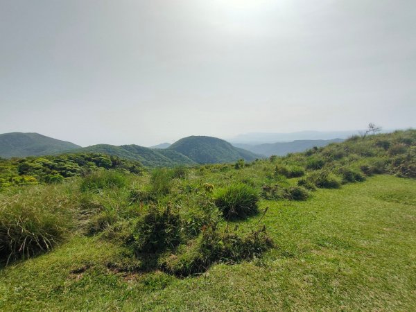 ［走遍陽明山］頂山石梯嶺步道+坪頂古圳2186461