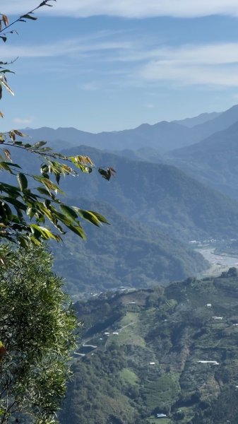 苗栗卓蘭-大克山2626458