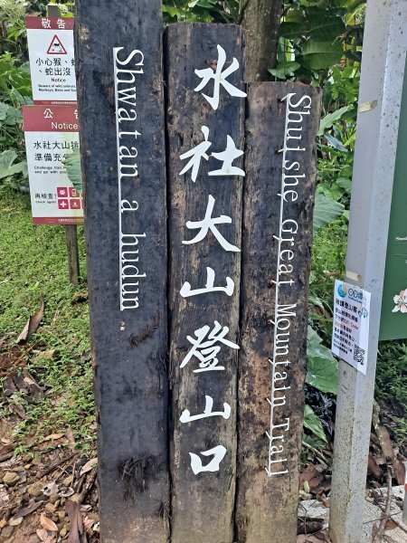 水社大山(負重26kg)(2022.08.16)1890565