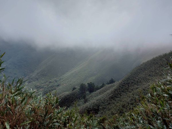 11/29六 小觀音山2952629