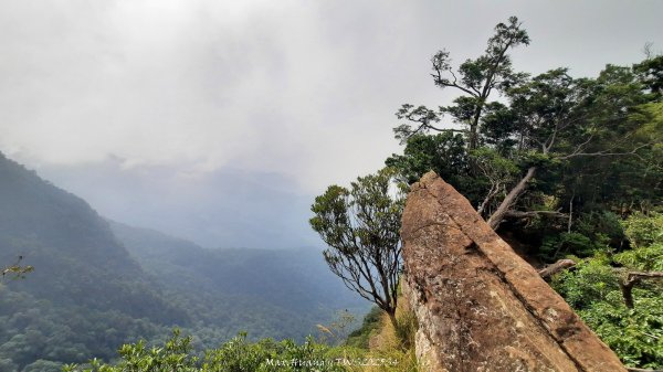 《新竹》斷崖神木｜北得拉曼步道小P繞202510172917522