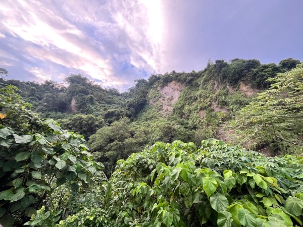 20250926_暗影山（台中小百岳）2941257