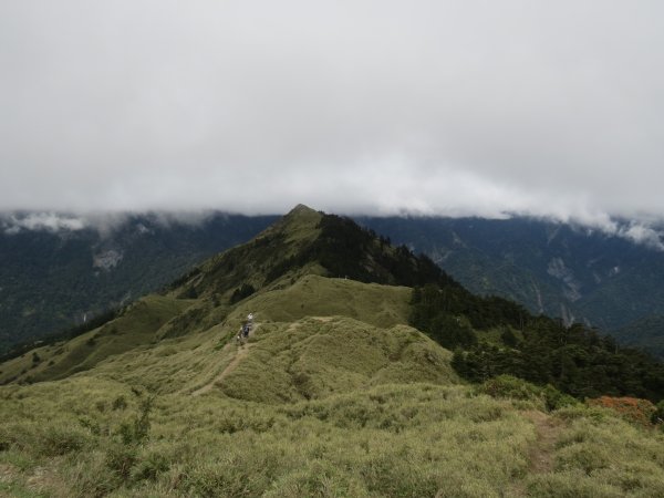 合歡山東峰-尖山-小奇萊-石門山2513117