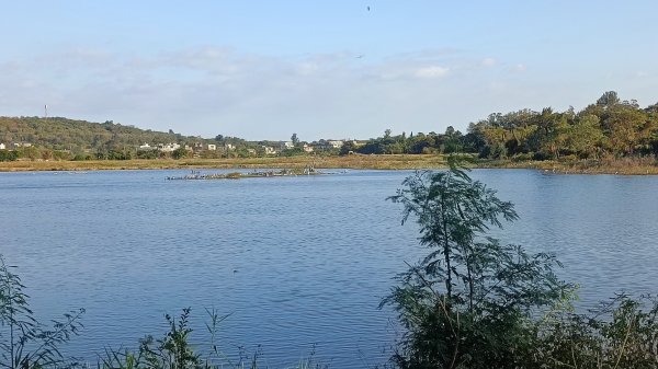 金門陵水湖賞鳥步道1889858