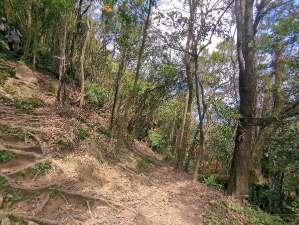 2026.03.14－微笑山線：【五分山系】3015449