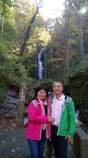 奧入瀨溪健行444356