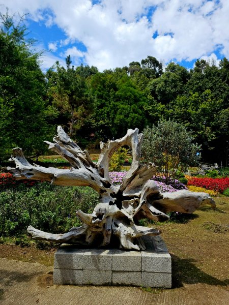 野馬瞰山步道-2025森遊竹縣皮皮獅探險隊2895241