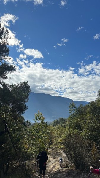 馬武霸下武陵2962333