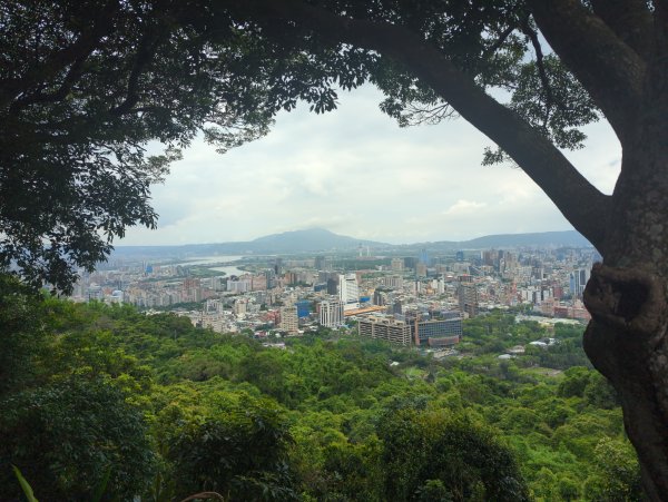 2025.06.21－劍金縱走2817048