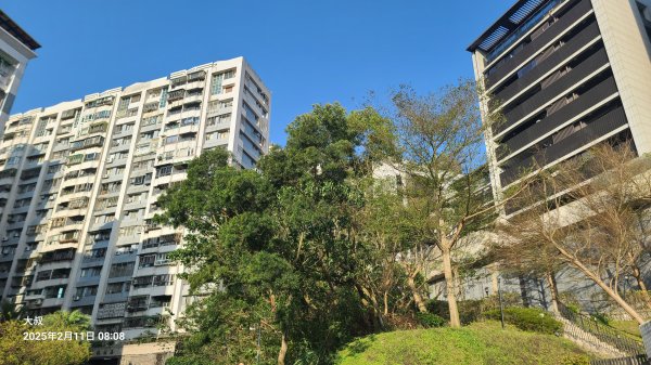 2025-0211造鎮_太極嶺_五城山小段攀爬路線2710717