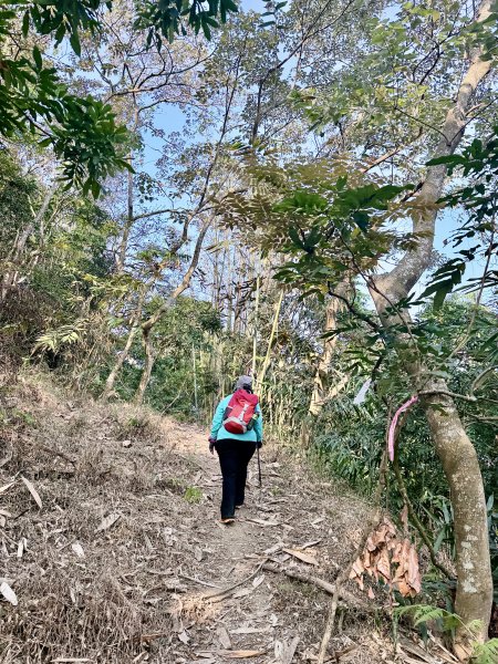 16年後重逢糖子恩山   2026.3.253026316