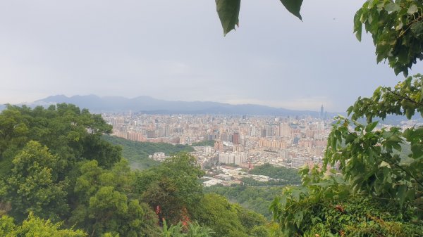 收集小百岳 016 烘爐地的土地公山 20210731(一)1797387