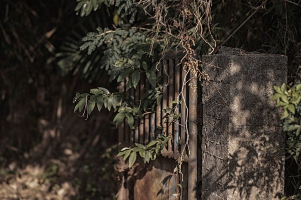 寶山水庫環湖步道（西北、西、東峰）2986762