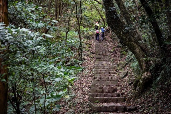 台北大縱走第二段｜大屯山連峰步道3058347