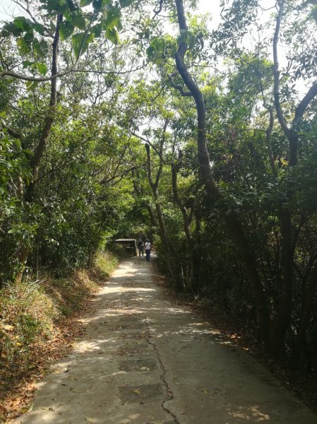 劍潭山小散步·見識沙塵暴下的台北市1356897