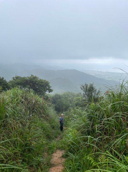 小百岳(84)-鵲子山-202306042178213