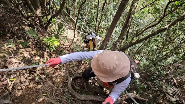 20260112月扇湖山&四分子古道O走+烏塗溪步道2986519