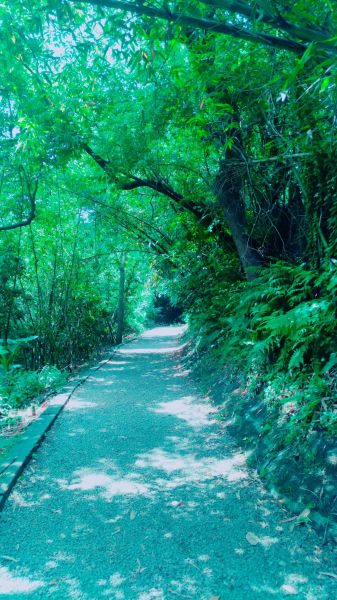 天母水管路-紗帽山317286