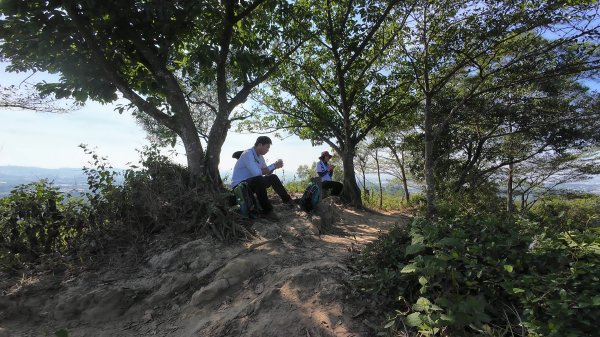 高雄 大社觀音山2960478