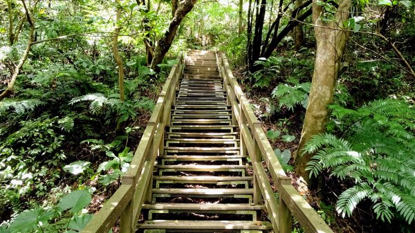 福州山,中埔山,黎和生態公園2234126