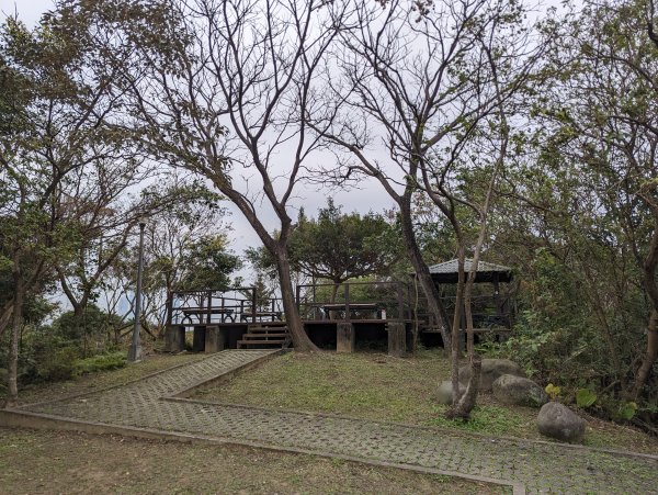 2024-01-28 福州山公園2793293