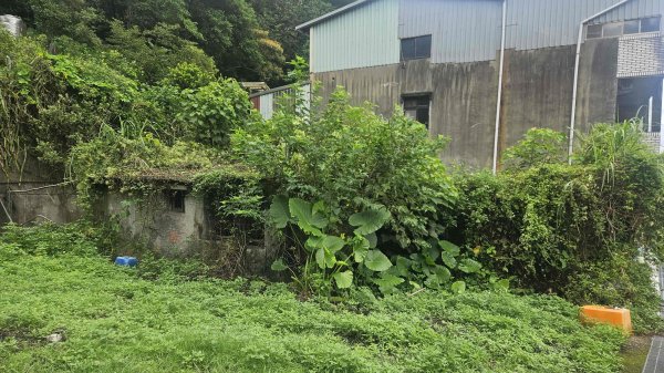 20250722三腦寮北峰-白雲里山-栳寮山(未果)-栳寮東峰2844081