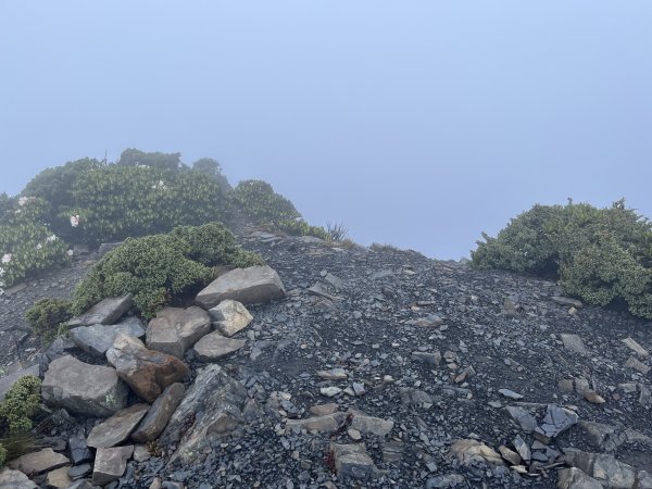 聖稜線I 2023_0525(D3-1) 雪山北峰2166290