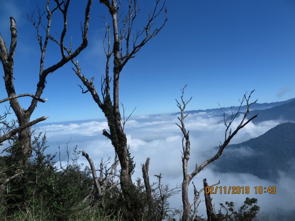 加里山雲海美景725084
