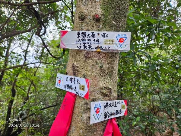 東勢大崙、東勢坑山、觀音湖山O走2986250