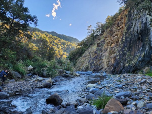 【中級山縱走】羅馬縱走，走進神木的夢幻童話森林世界2943260