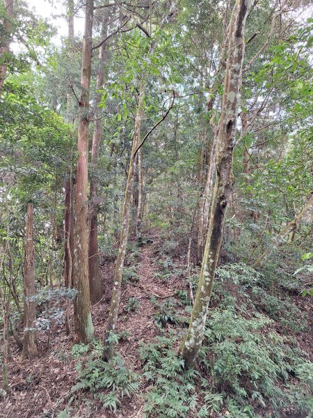 仙山古道群峰O型2693657