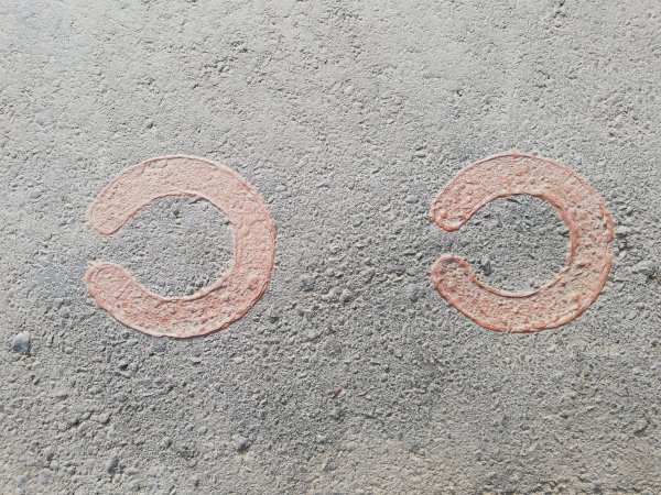 台中花博~后里馬場、花舞館550937