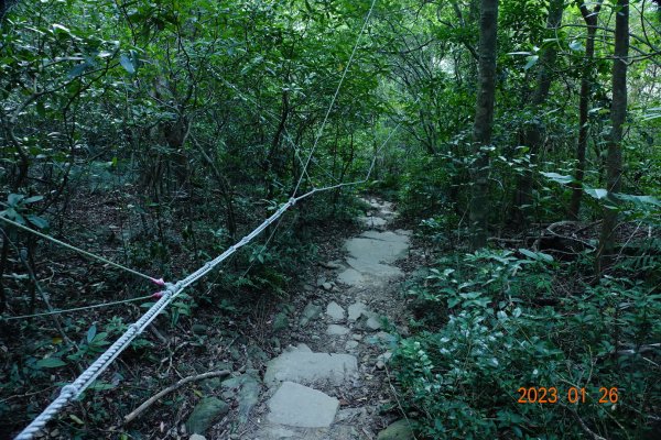 屏東 獅子鄉 里龍山(里隆山、里瀧山、鯉龍山)、下里龍山2018535