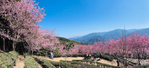 1120305山上人家-鵝公髻山2056677