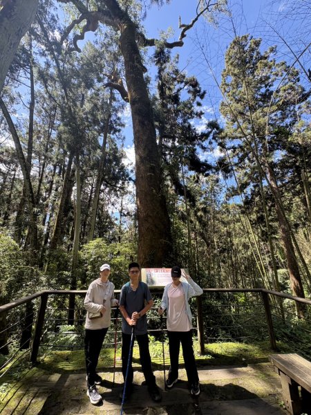 20251004嘉義奮起湖大凍山步道(頂湖)2914904