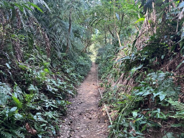 圓通寺南勢角山2765762