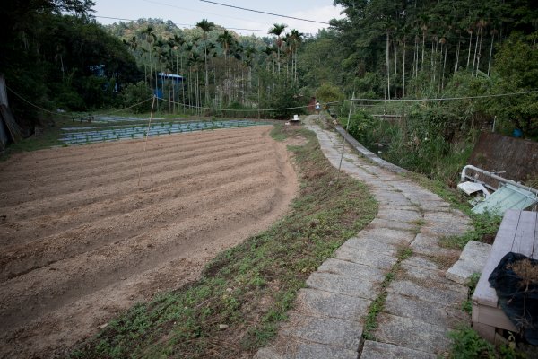 澀水探尋水上瀑布1120636