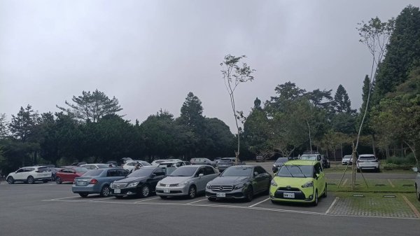 20251010 大雪山國家森林遊樂區 - 船型山林道 登 烏石坑山2911016