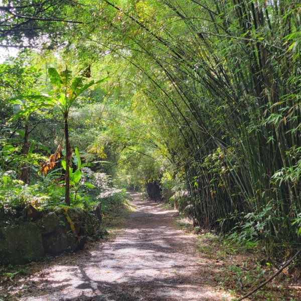 礁溪跑馬古道2519007