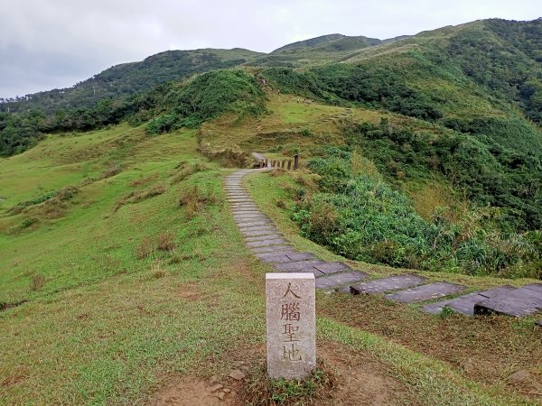 【新北-臺灣百大必訪步道】灣坑頭山→福德山→桃源谷草嶺線→大溪線→蕃薯寮山→大溪火車站1524575